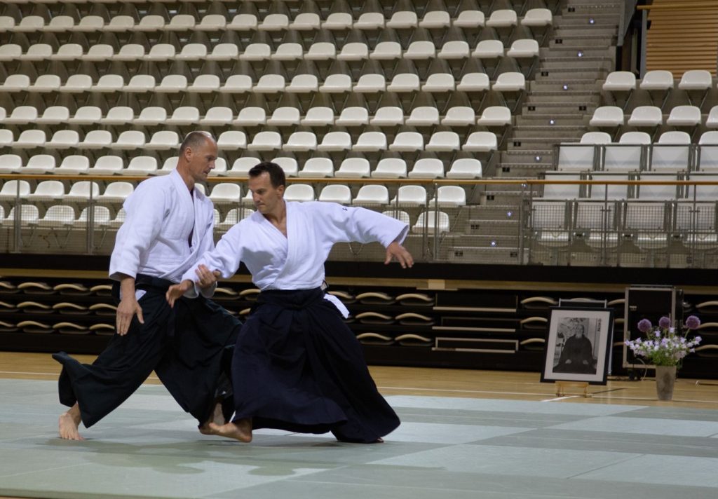 Wim Van Gils doing aikido